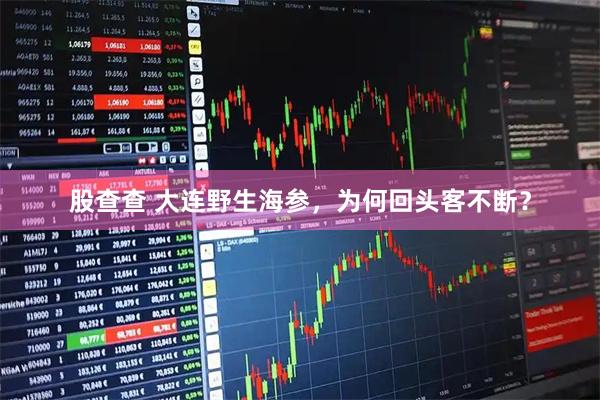 股查查 大连野生海参，为何回头客不断？